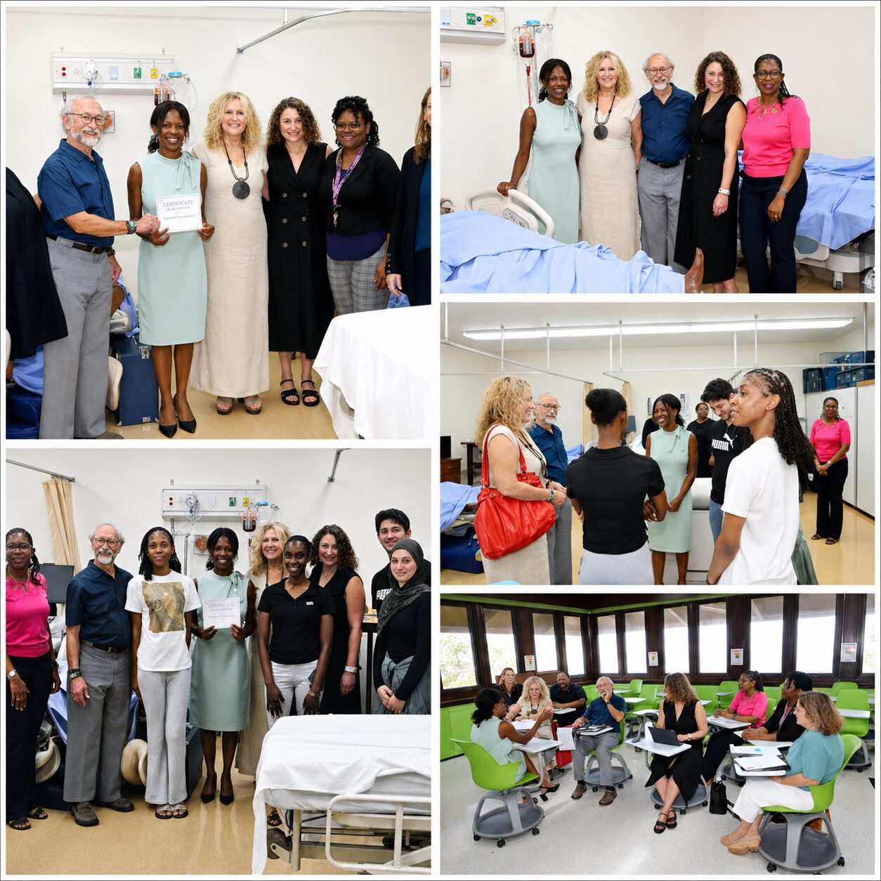 Lisa M. Lewis, Ph.D, University of the Virgin Islands Dean, School of Nursing